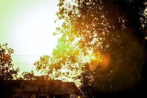 Blurred background of sunset light shine through the tree, Silhouetted orange Stock Photos