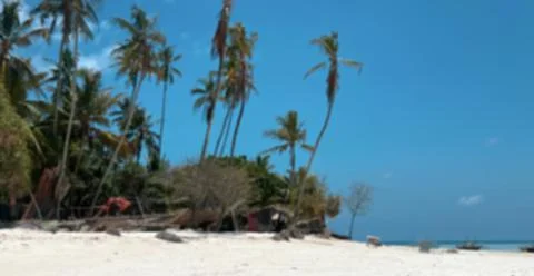 Blurred background, tall palm trees and bungalows with cane roofs set against a Stock Photos