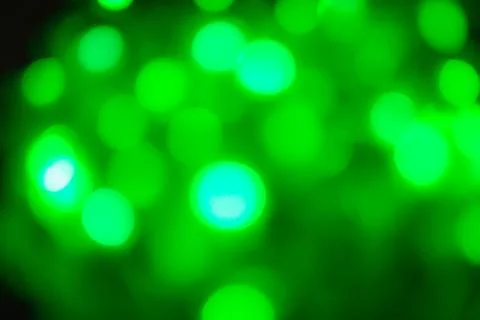 Blurred background, texture for design, advertising banner, green bokeh backg Stock Photos