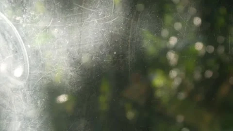 Blurred background texture with green nature theme Stock Footage 331591250