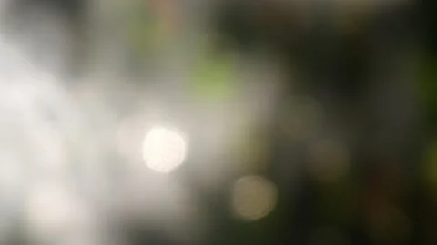 Blurred background texture with green nature theme Stock Footage 331591264