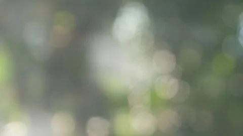 Blurred background texture with green nature theme Stock Footage 331591277