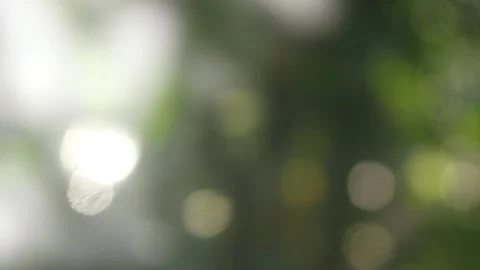 Blurred background texture with green nature theme Stock Footage 331591287