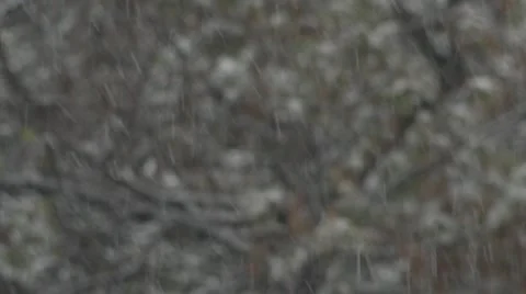 Blurred background. Texture. Winter. It's snowing. Snowflakes fall. Video stock 66878757