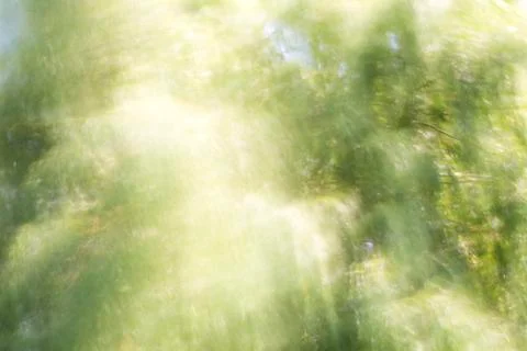 Blurred background with tree and light Stock Photos