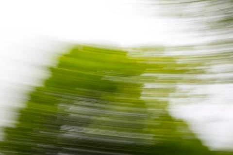 Blurred background, tree and sky, circular movement Stock Photos