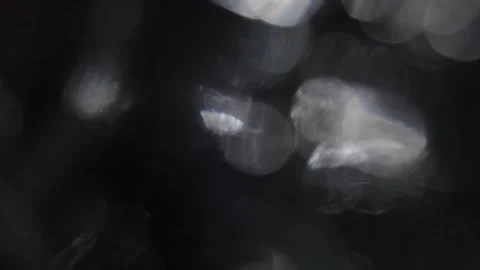 Blurred background video with light effect of lights and white bokeh flashing ra 動画素材 317478021