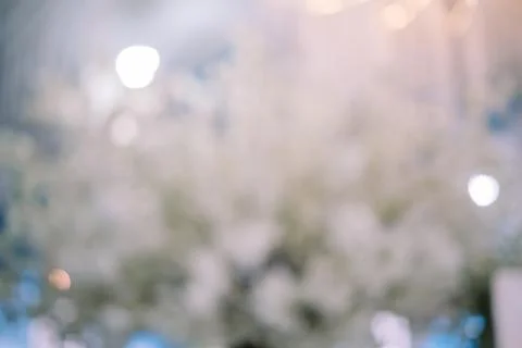 Blurred background of a white artificial tree, providing a minimalist and m.. Stock-Fotos