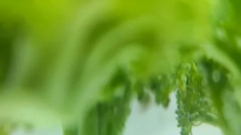 Blurred background,green broccoli in water Stock Footage 252597907
