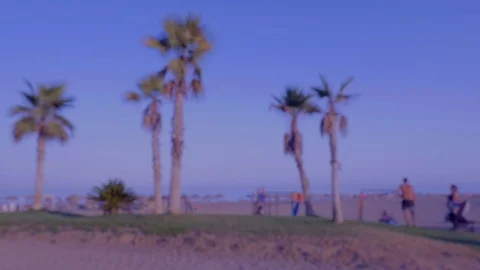 Blurred beach background at sunset Stock Footage 115535291