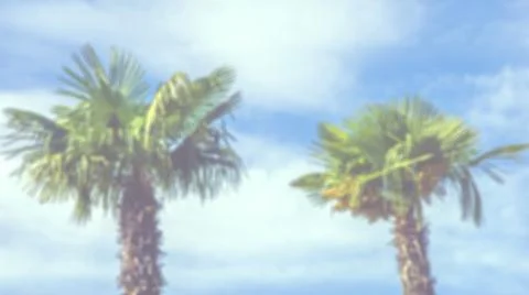 Blurred beach with palm leaf abstract background. Stock Photos