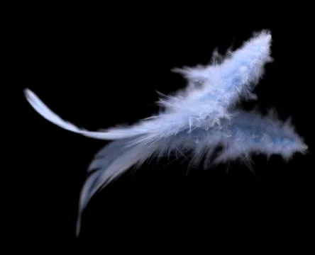 Blurred blue feather background Stock-Fotos