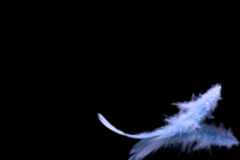 Blurred blue feather background Stock Photos