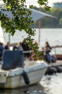 Blurred Boat Dock with Foliage in Foreground Fotos de archivo