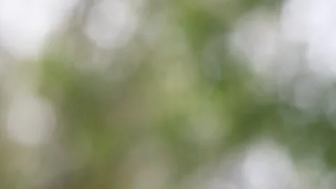 Blurred bokeh background. Stock Footage 271128957