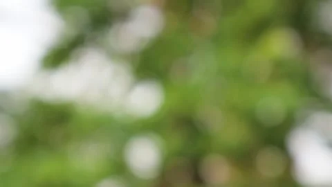 Blurred bokeh background. Stock Footage 271128980