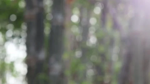 Blurred bokeh background. Stock Footage 271128982