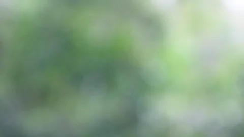 Blurred bokeh background. Stock Footage 271129150