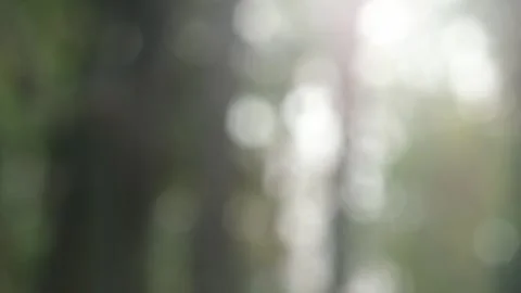 Blurred bokeh background. Stock Footage 271129220