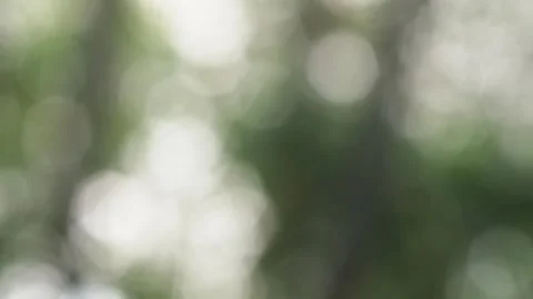 Blurred bokeh background. Stock Footage 271129706