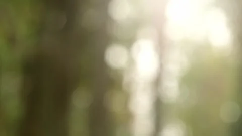 Blurred bokeh background. Stock Footage 271129708