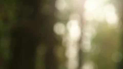 Blurred bokeh background. Stock Footage 271129929