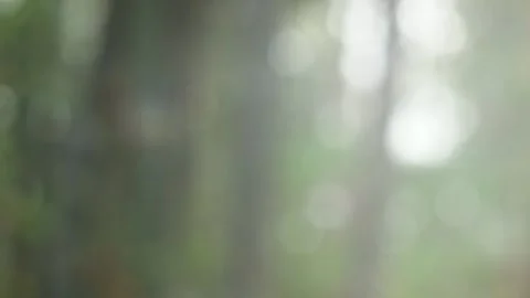 Blurred bokeh background. Stock Footage 271130020