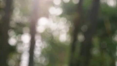 Blurred bokeh background. Stock Footage 271130088