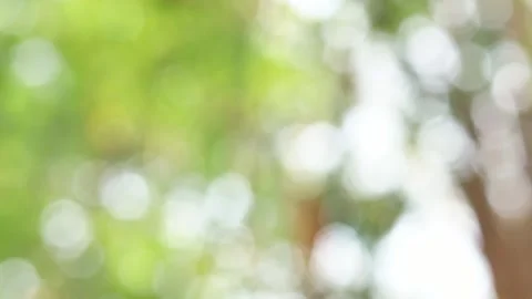 Blurred bokeh background. Stock Footage 271130312