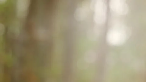 Blurred bokeh background. Stock Footage 271130481