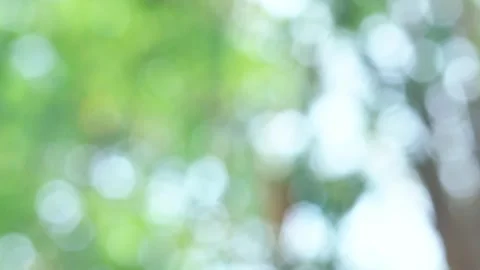 Blurred bokeh background. Stock Footage 271130482