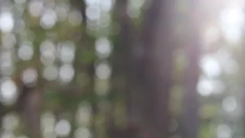 Blurred bokeh background. Stock Footage 271130548