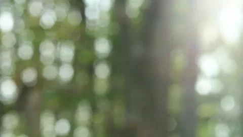 Blurred bokeh background. Stock Footage 271130607