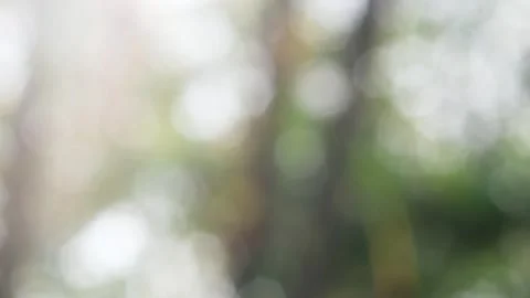 Blurred bokeh background. Stock Footage 271130993