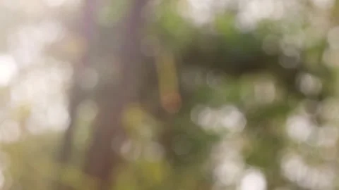 Blurred bokeh background. Stock Footage 271131252