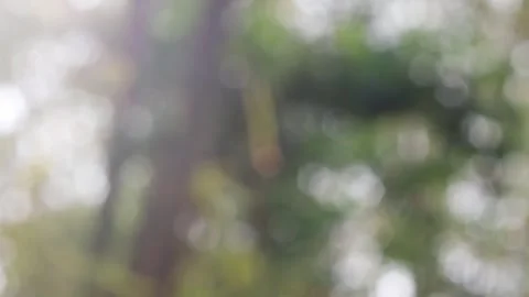 Blurred bokeh background. Stock Footage 271131253