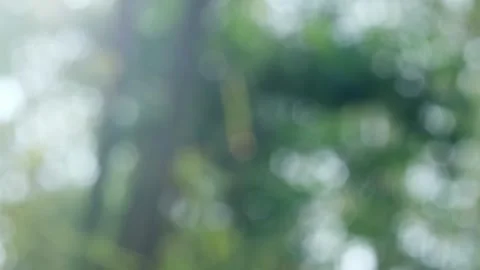 Blurred bokeh background. Stock Footage 271131255