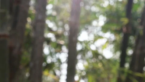 Blurred bokeh background. Stock Footage 271131422