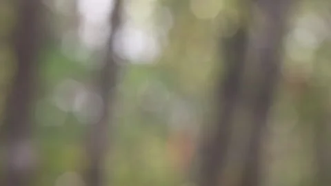 Blurred bokeh background. Stock Footage 271131495