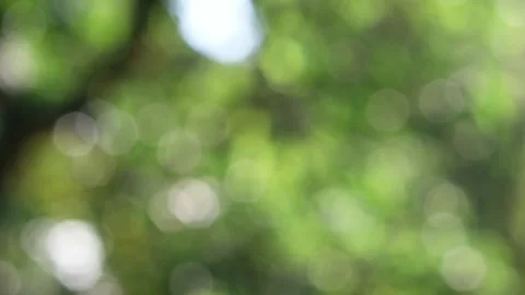 Blurred bokeh background. Stock Footage 271131929