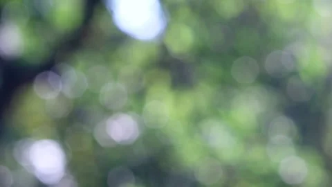 Blurred bokeh background. Stock Footage 271131936