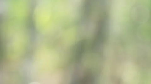 Blurred bokeh background. Stock Footage 271132119