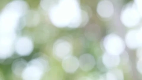 Blurred bokeh background. Stock Footage 271132534