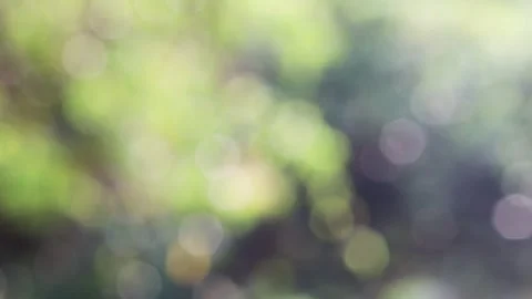 Blurred bokeh background. Stock Footage 271132562