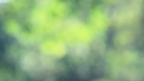 Blurred bokeh background. Stock Footage 271132583