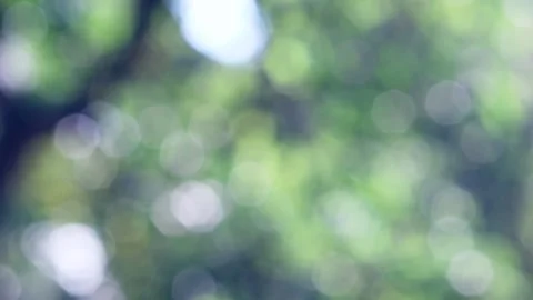 Blurred bokeh background. Stock Footage 271132584