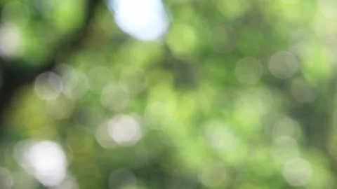 Blurred bokeh background. Stock Footage 271132595