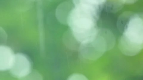 Blurred Bokeh Background Video stock 294627696