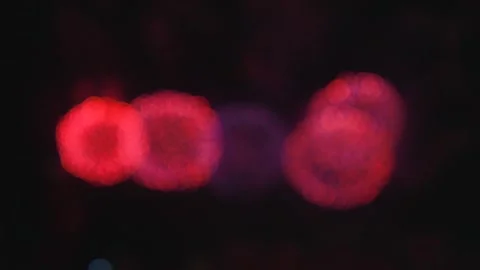 Blurred Bokeh of Fireworks. Abstract Festive Holiday Lights Background Vídeo Stock 343044606