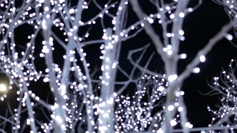 Blurred bokeh light defocused background and textured for holiday ney year pa Stock Footage 99649609